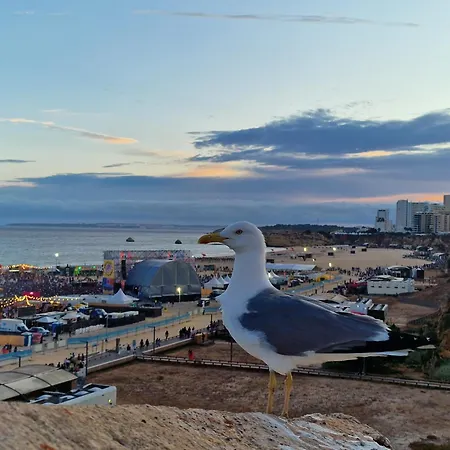 Casa Fernando Appartamento